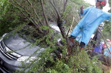 Hindari Jatuh Korban, Pemkot Tangerang Pangkas Pohon